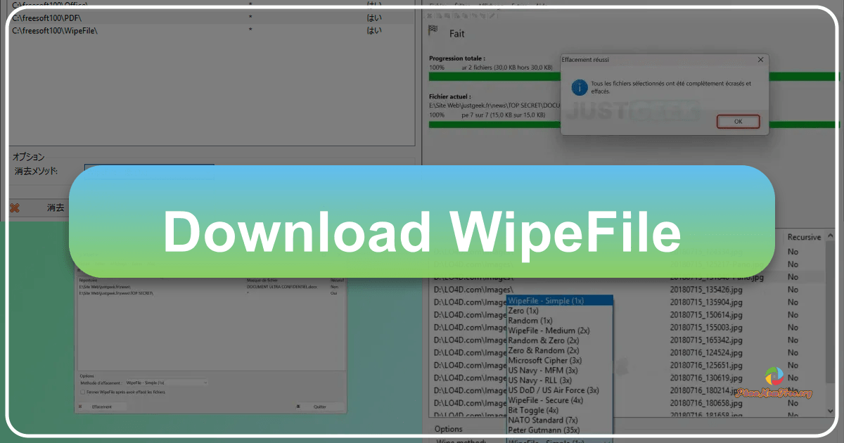 /images/download-wipefile.png