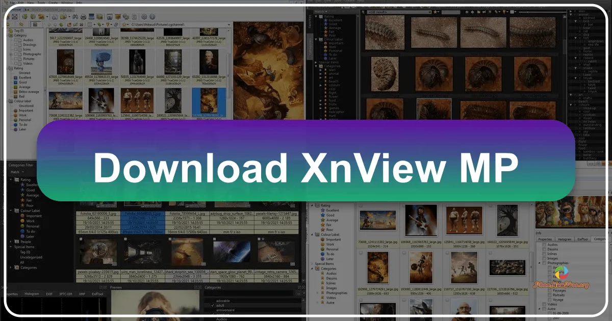 XnView MP: Trình Quản Lý và Chỉnh Sửa Ảnh Toàn Diện Miễn Phí