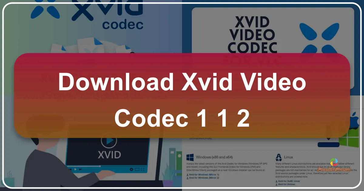 Xvid Video Codec 1.1.2 - Giải mã và khám phá khả năng mã hóa video mạnh mẽ