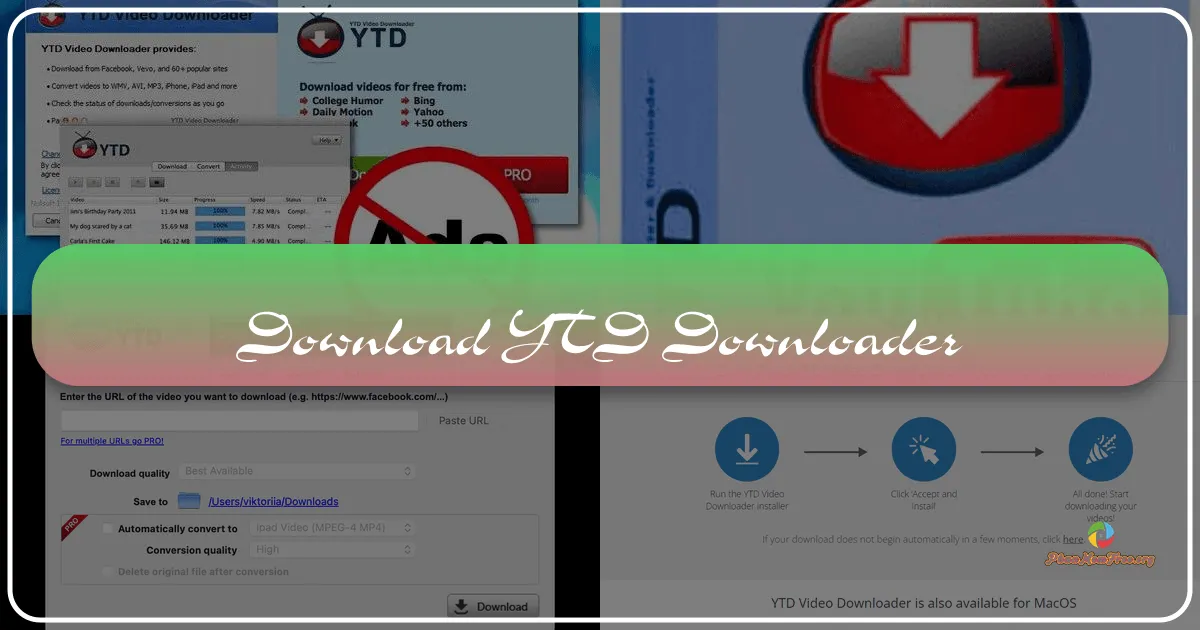 YTD Downloader: Trình tải video đa năng và hiệu quả