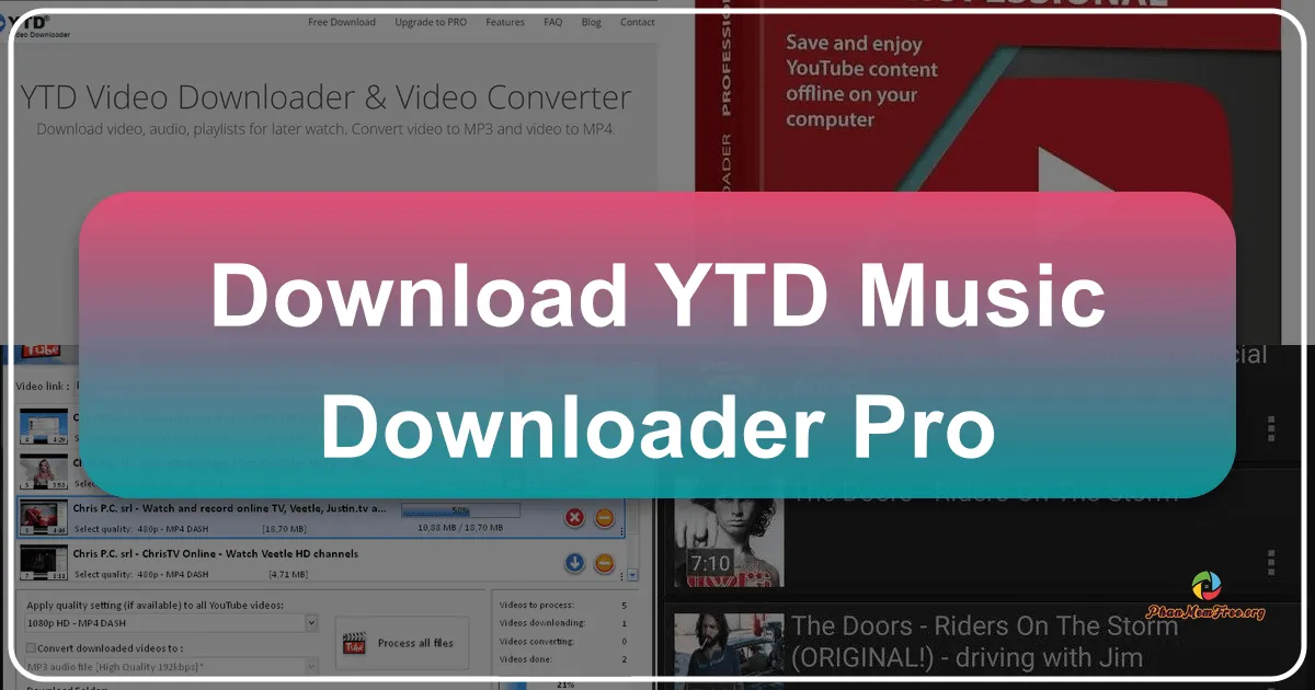 YTD Music Downloader Pro: A Comprehensive Review